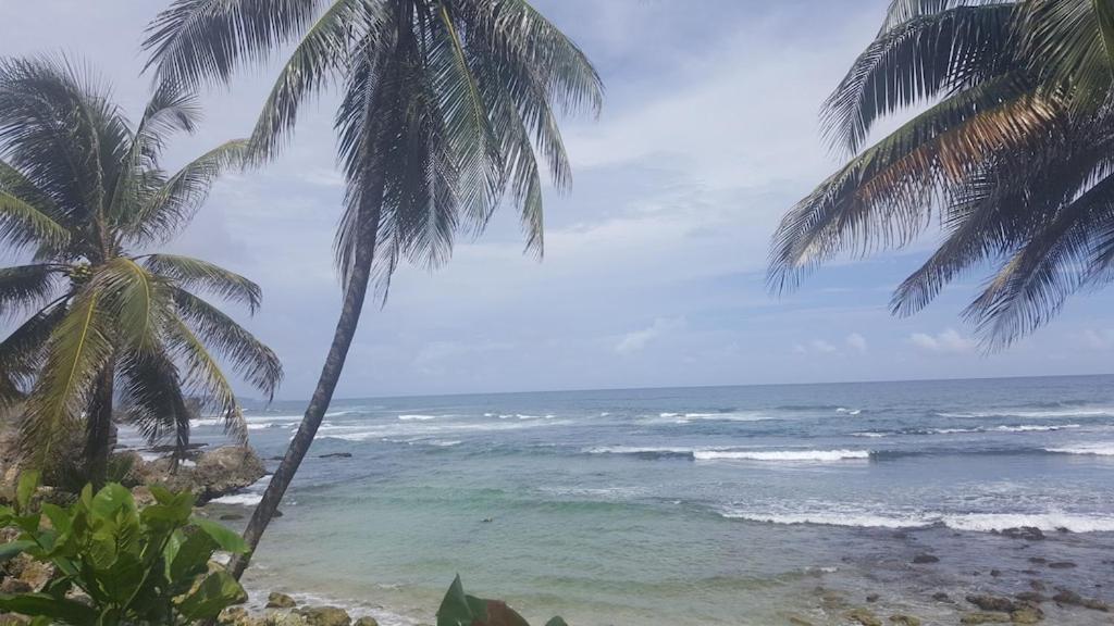 Donamae 2 Story Barbados House Villa Bridgetown Eksteriør billede