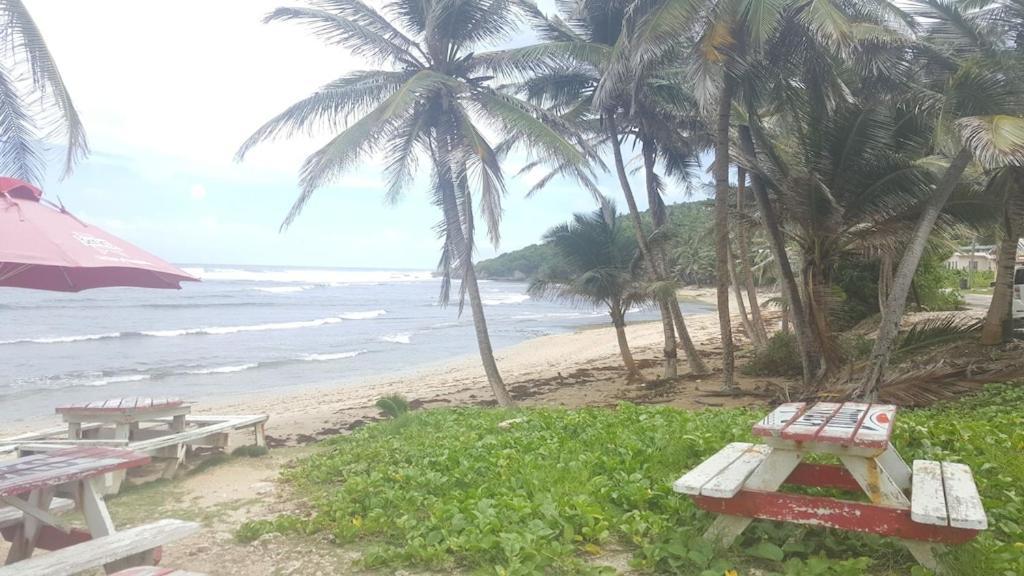 Donamae 2 Story Barbados House Villa Bridgetown Eksteriør billede
